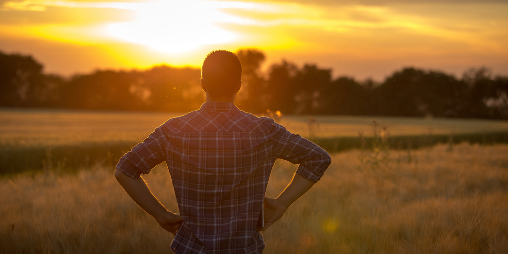 What The Fair Deal Scheme Means For Farmers & Private Businesses